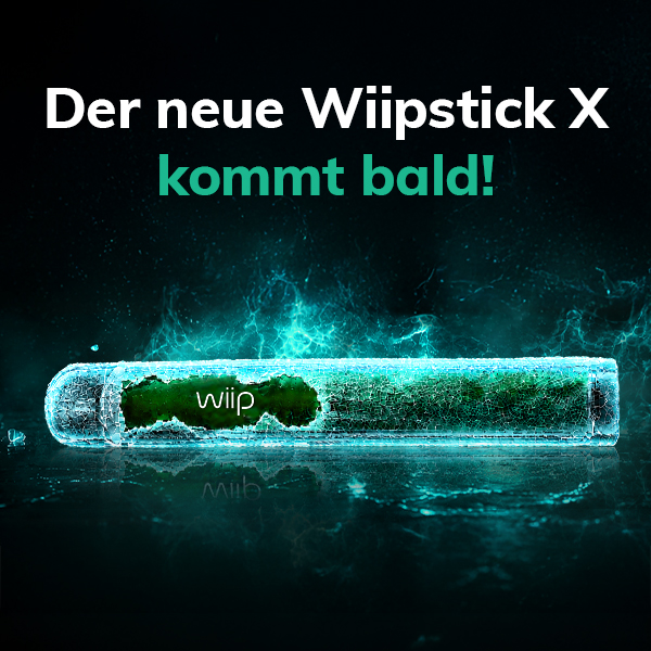 Der neue Wiipstick X